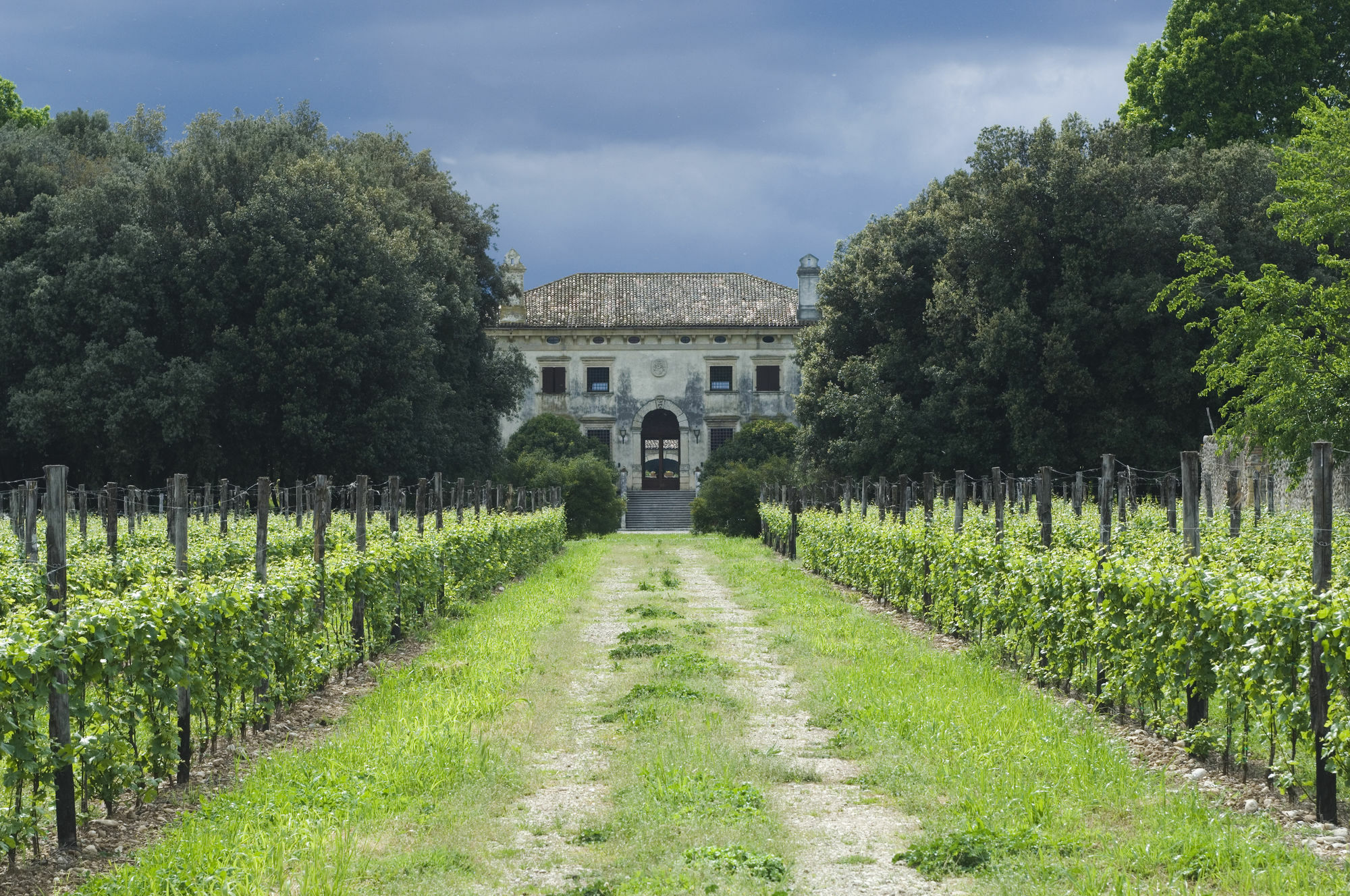Relais Villa Sagramoso Sacchetti Vérone Extérieur photo